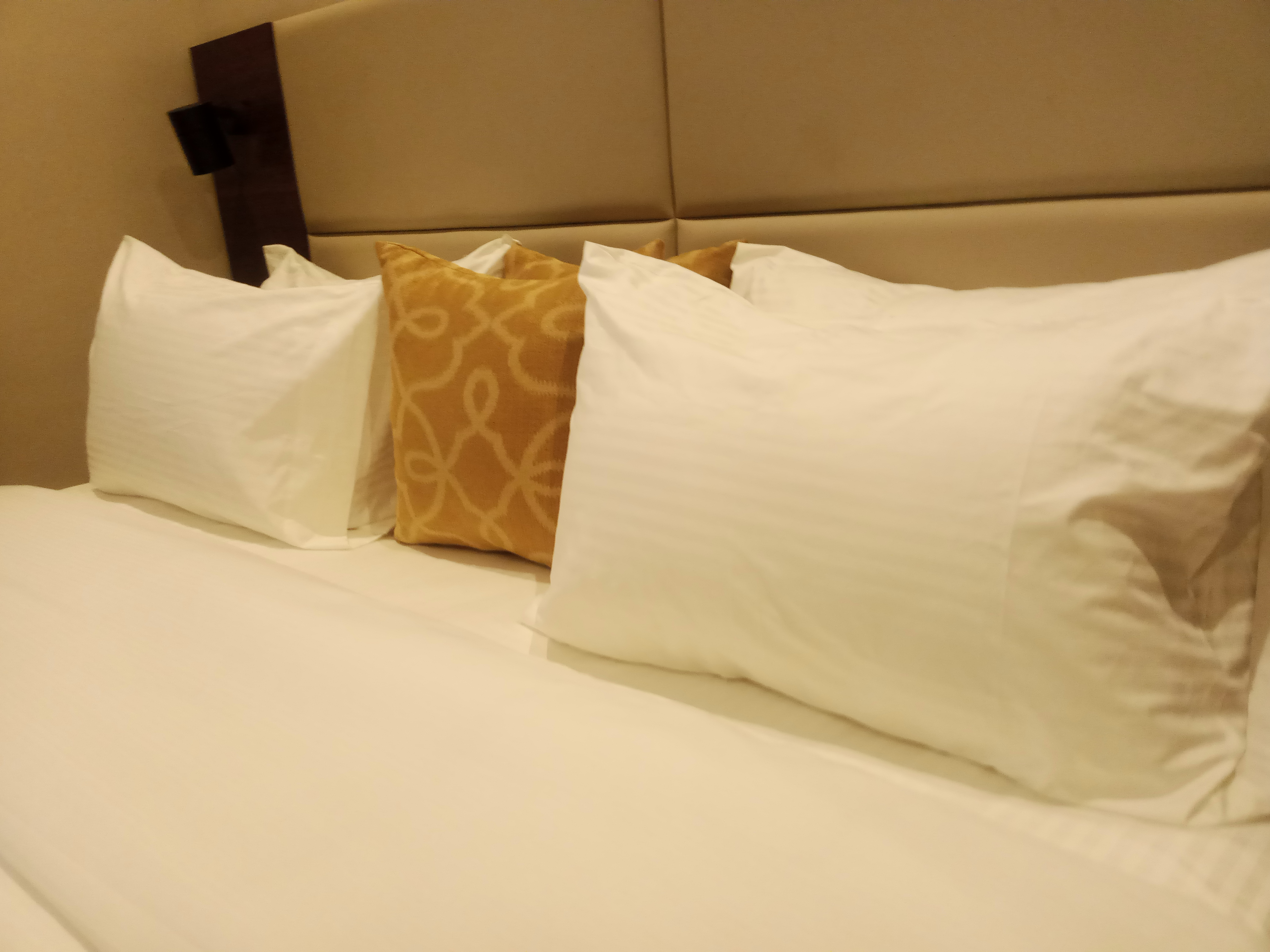 Ringruby Hotel, Eso Close